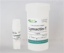 CSTI 6001T01 Lymactin-T 抗体 现货