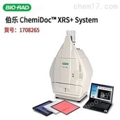 Bio-Rad伯乐ChemiDoc XRS+凝胶成像系统现货