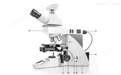 徕卡正置金相显微镜DM4M详细参数概述