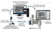 光-电联用显微镜法（CLEM）系统