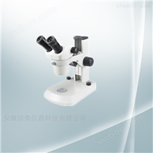 NS80双目体视显微镜