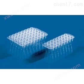 24孔/48孔PCR板
