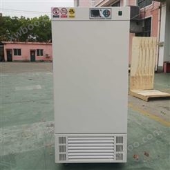 批发直销DHP-9272电热恒温培养箱