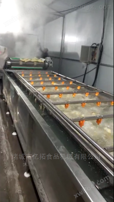 速冻甜玉米自动加工设备