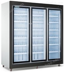 远置式内拉手饮料柜镜面黑钛金展示柜冷柜 冷冻设备