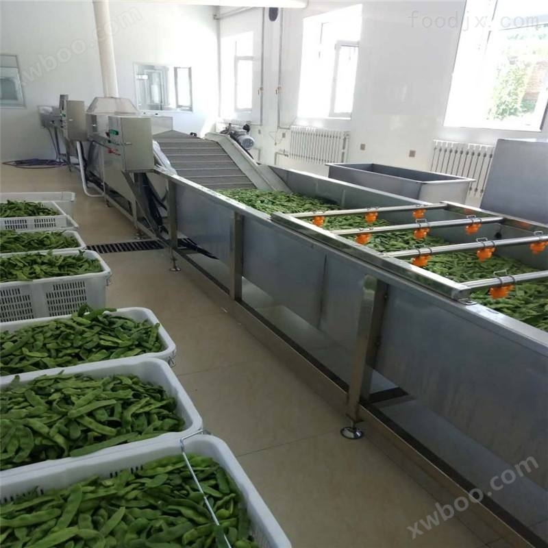 多功能农副产品茶树菇清洗机支持定制