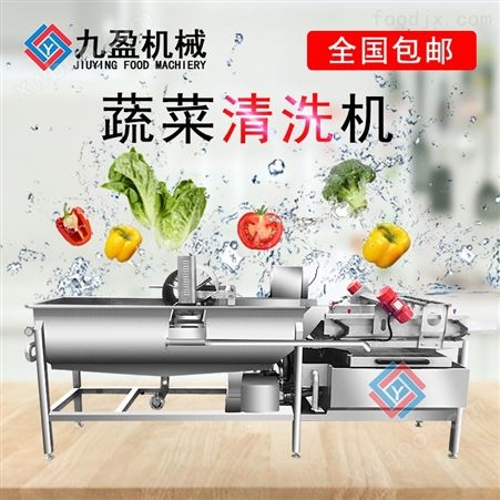 全自动涡流洗菜机蔬菜清洗机JY-4200