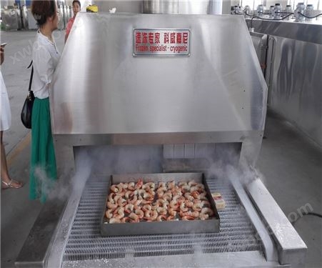 液氮速冻鸡米花虾尾面点速食低温设备 制冷机