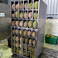 液氮榴莲水果预制菜速冻保鲜设备厂家直供 制冷机