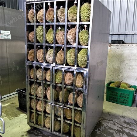 液氮榴莲水果预制菜速冻保鲜设备厂家直供 制冷机