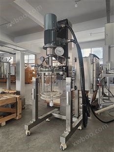 非标定制实验室夹层玻璃均质机 实验室反应釜