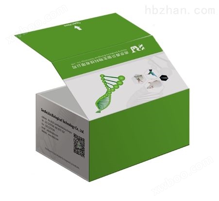人乳酸脱氢酶（LDH）ELISA试剂盒