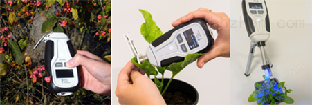 快速植物胁迫测量仪 植物生理生态仪器