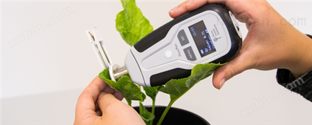 快速植物胁迫测量仪 植物生理生态仪器
