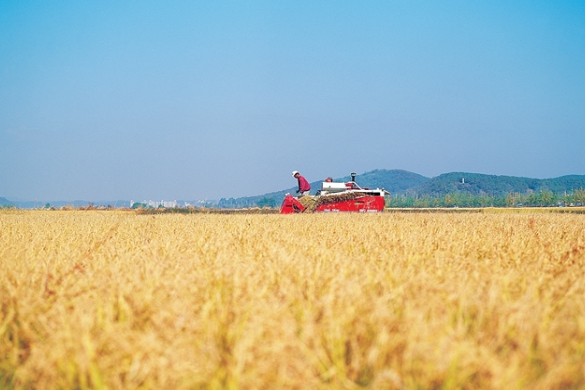 吉林省《DB22/T 1789-2013玉米免耕播种机作业技术规范》解读