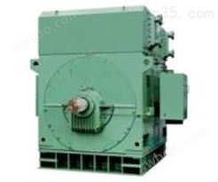 YK系列三相鼠笼型大型高速高压电机