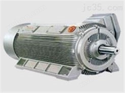 Y2系列6KV高压电机（H355～560）