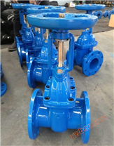 FZ41T铜芯防护闸阀