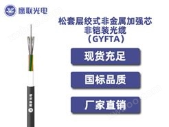 GYFTA-50~60芯，松套层绞式非金属加强芯非铠装光缆 ，室外光缆价格
