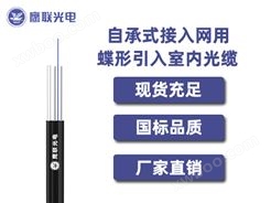 GJYXFCH-2芯，自承式接入网用蝶形引入室内光缆，电力光缆厂家，室内光缆价格
