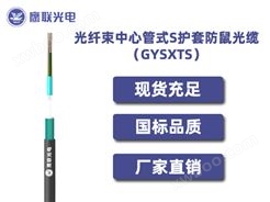 GYSXTS，光纤束中心管式S护套防鼠光缆，电力光缆厂家，室外光缆价格