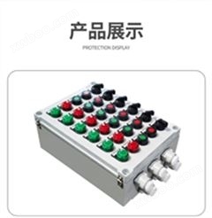 BXK-A2D2防爆配电控制箱