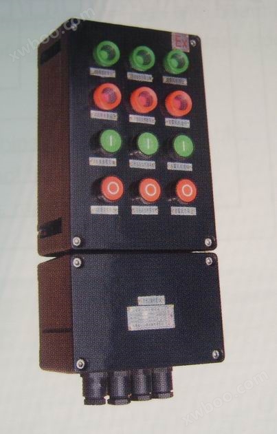 ZXK8050系列防爆防腐控制箱（IIC）
