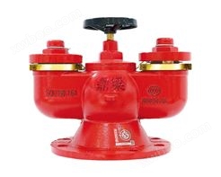 鼎梁多用式消防水泵接合器