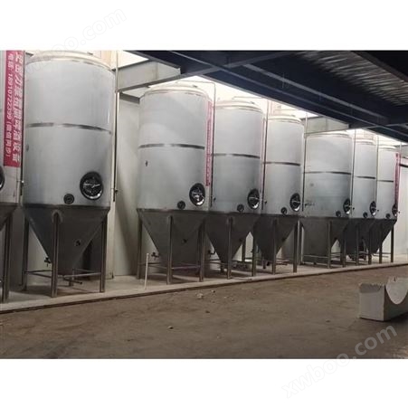 自动化生产线30吨精酿啤酒发酵罐 啤酒设备