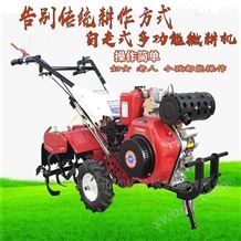 RH-WGJ-12小型农用柴油微耕机