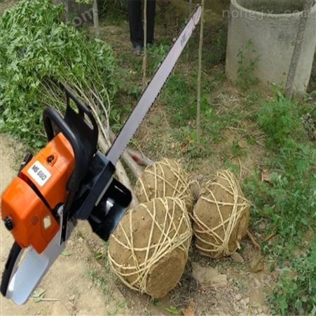 铲头挖树机 挖树断根机 挖树苗起苗机