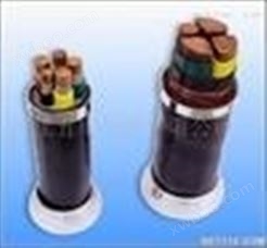 滁州VV33、VVR33、电力电缆