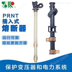 PRNT-15.5熔断器 GOR5-15.5油浸式保护美变