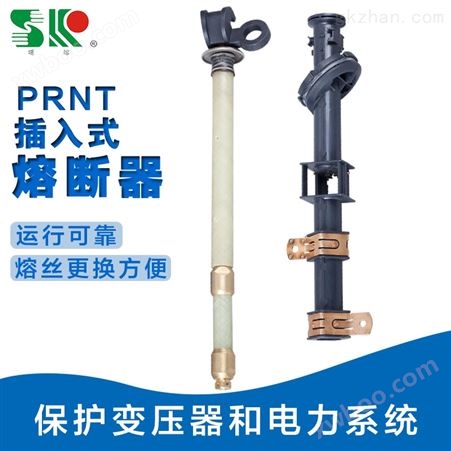 PRNT-15.5kvPRNT-15.5熔断器 GOR5-15.5油浸式保护美变