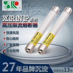 XRNP1-10/0.5a螺母PT电压互感器高熔断器