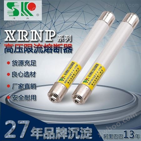XRNP1-10/0.5-3.15AXRNP1-10/0.5a螺母PT电压互感器高熔断器