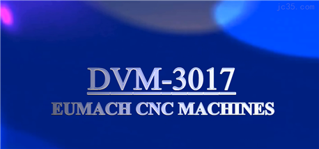 中国台湾新卫DVM龙门五面体加工中心